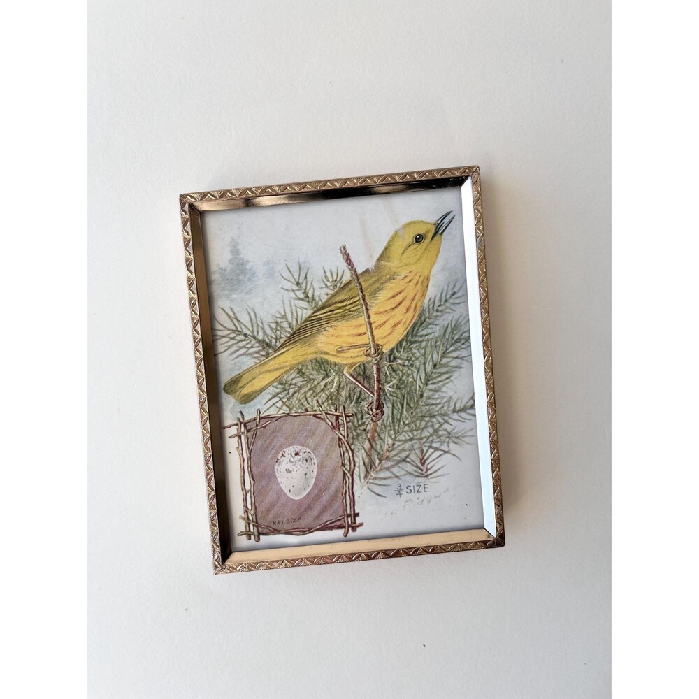 Antique Picture Frame with Yellow Bird | 1920-30s Singer Trade Card